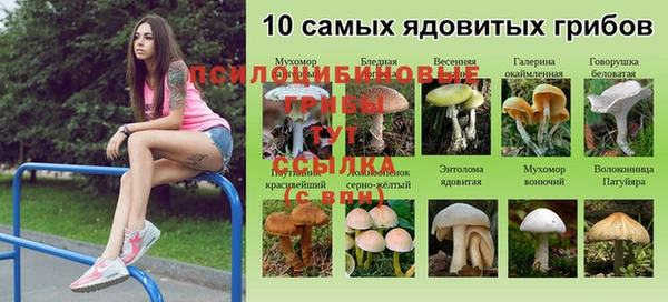 твердый Балахна
